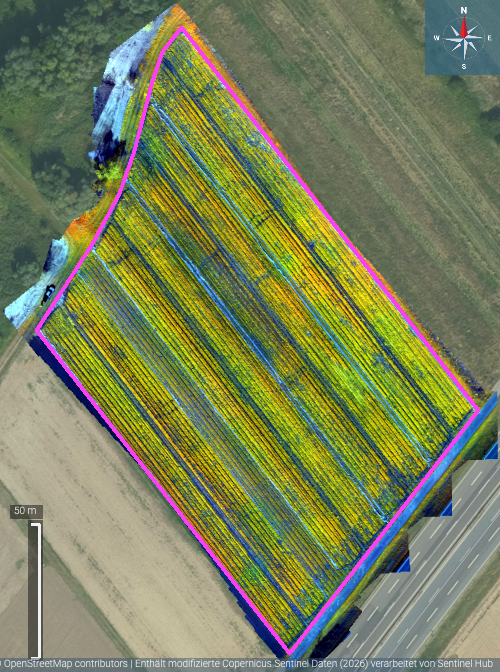 NDVI-Auswertung eines Gemüsefeldes von Lenz Gemüsebau